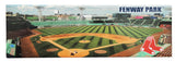 Red Sox Stadium Panoramic Magnet