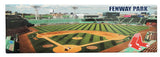 Red Sox Stadium Panoramic Magnet
