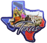 Texas State Shaped Foil Magnet Collage