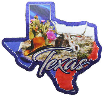 Texas State Shaped Foil Magnet Collage