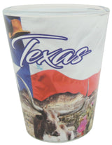 Texas Shotglass with Flag and Bull Design