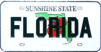 Sunny Florida License Plate Magnet - Bring a Ray of Sunshine to Your Fridge